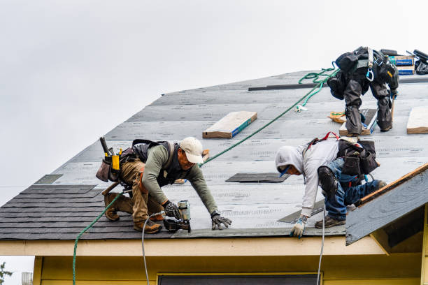 Professional Storm Damage Roof Repair technician working in Dublin, NH